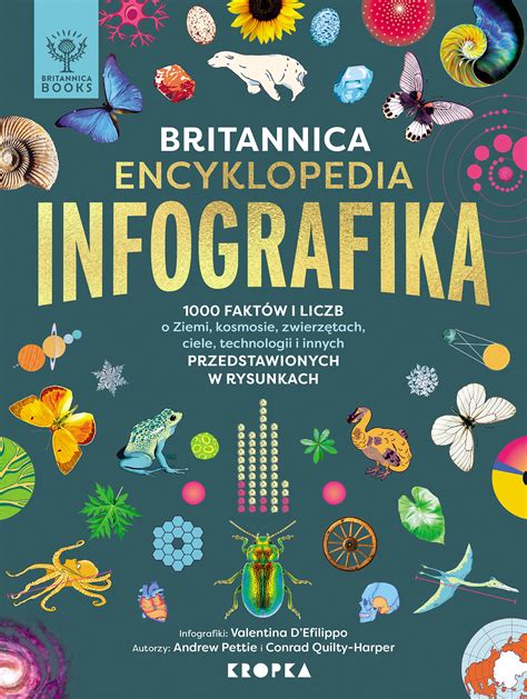 Infografika: baudų išieškojimo procesas