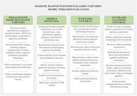 Seesam pagalbos kelyje draudimas - pagrindinės paslaugos schema