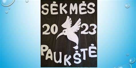 mokinių sėkmės rodikliai