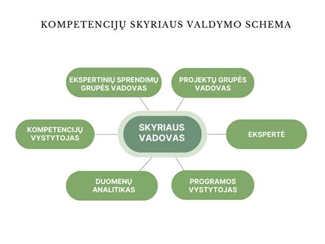 kompetencijų sąryšio schema