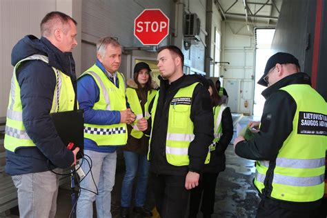Iliustracija, demonstruojanti jėgą, kuria gyvūnas smūgiuoja susidūrimo metu be saugos priemonių