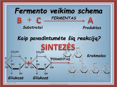 Fermento ir substrato sąveikos schema su aktyviuoju centru