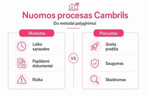 Infografika: takurų nuomos proceso žingsniai