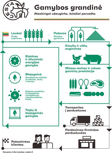 Infografika: logistikos paslaugų grandinė nuo užsakymo iki pristatymo