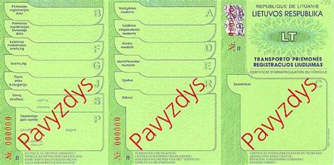 Infografika, rodanti, kurioje registracijos liudijimo vietoje yra nurodytas dokumento numeris