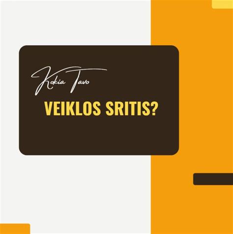 Infografika, vaizduojanti „Modus Group“ valdomas veiklos sritis ir automobilių atstovybių tinklą
