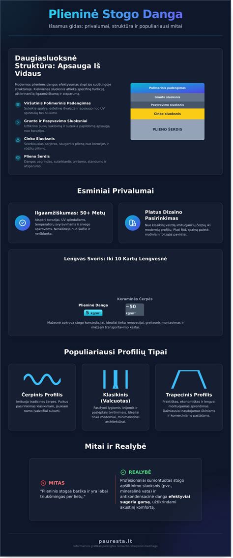 Infografika apie naudotų automobilių pirkimo privalumus ir trūkumus
