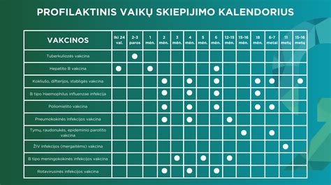 Infografika: privalomi dokumentai vilkimo metu