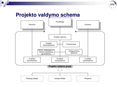 Bortinio vilkiko funkcijų schema