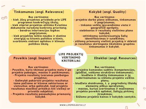 Infografika: Kaip veikia šou mechanizmas ir vertinimo kriterijai