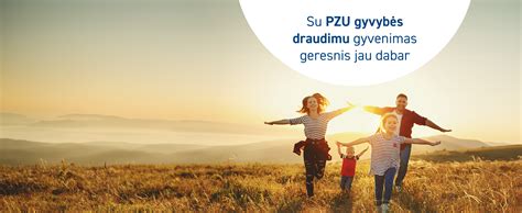 pigu draudimas