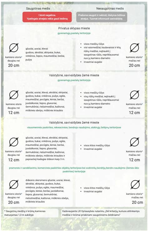 infografika: medžių kirtimo tvarkos schema (leidimo gavimas, saugotini medžiai, avariniai atvejai)