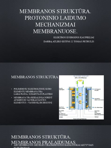 Infografika: SA:MP serverio struktūra ir žaidėjų sąveikos mechanizmai