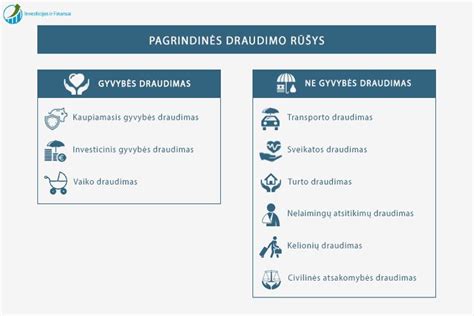 Lentelė: pagrindinės draudimo rūšys ir jų paaiškinimai