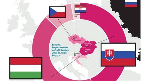 Infografika: pirmų žingsnių gilyn į parkavimo vietų teisę