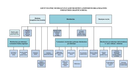 Grafinė schema su draudžiamųjų rizikų pavyzdžiais
