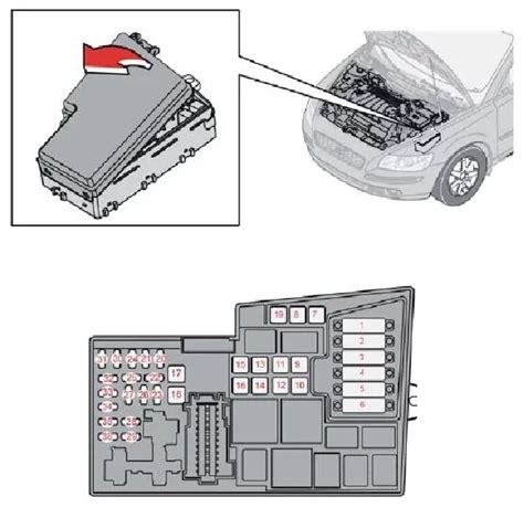 „Volvo V50“ galinio žibinto išdėstymo schema