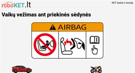 Katė specialioje automobilio kėdutėje