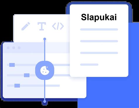 Slapukų politikos infografika