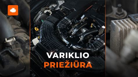 Mechanikas apžiūri variklio skyrių