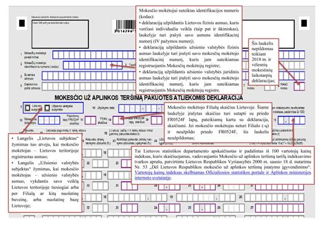 Infografika: el. deklaracijos pildymo žingsniai