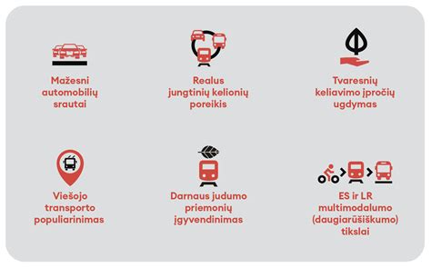 infografika: viešojo transporto kontrolės procesas ir baudų skyrimo tvarka