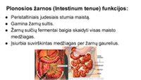 schema: užvedimo spynelės sandara ir pagrindiniai komponentai