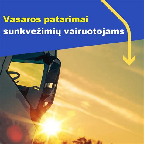 Muitinės tarpininkų darbas
