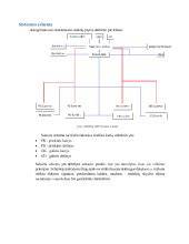 Stabdžių sistemos schema
