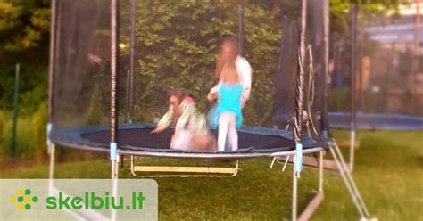 Tematinė nuotrauka su kelių tinklu