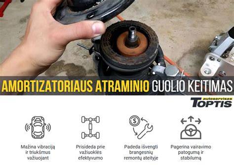Infografika: Priekinės kairiosios amortizatoriaus atramos funkcijos