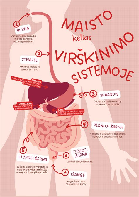 infografika apie virškinimo sutrikimo priežastis ir prevenciją