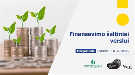 infografika apie finansavimo šaltinius verslui