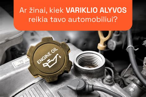 VW variklio tepalo aušintuvo vieta