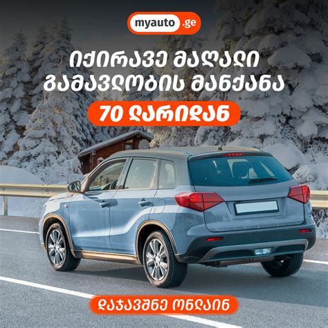 MyAuto Fleet platformos sąsaja