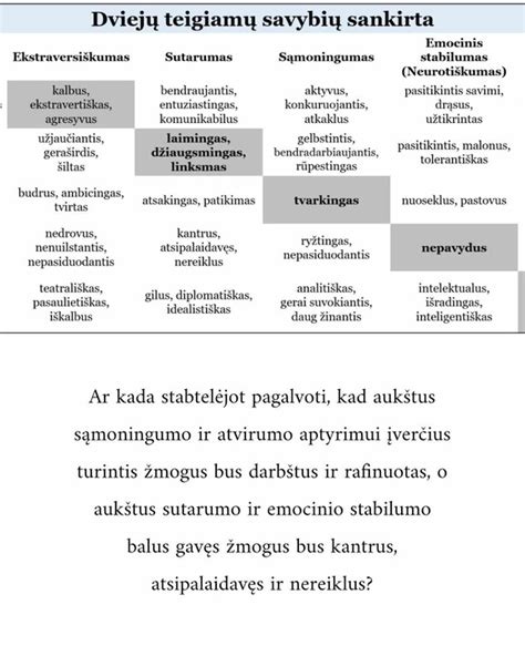 infografika: vairuotojo asmenybės tipų ir psichologinių savybių schema