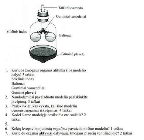 galutinis_sukabinimo_mechanizmo_modelis.jpg