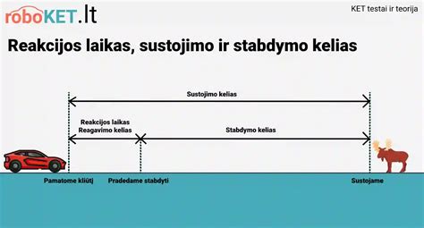 Vairuotojų charakterių tipai ir reakcijos kelyje