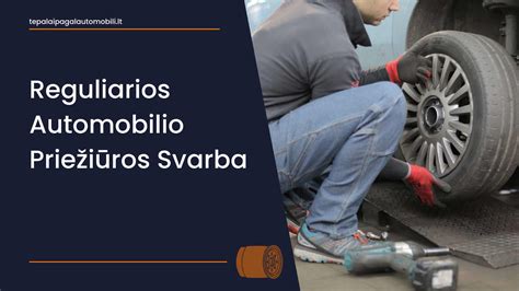 automobilio prieziuros grafikas/infografika