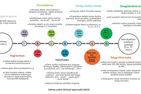 Infografika, iliustruojanti Bolt registracijos proceso etapus
