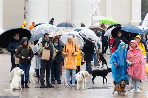 Moters, turinčios regos negalią, ir šuns vedlio nuotrauka