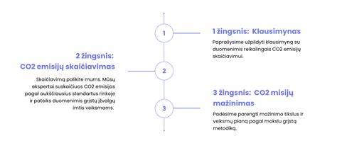 CO2 emisijų ir mokesčių schema