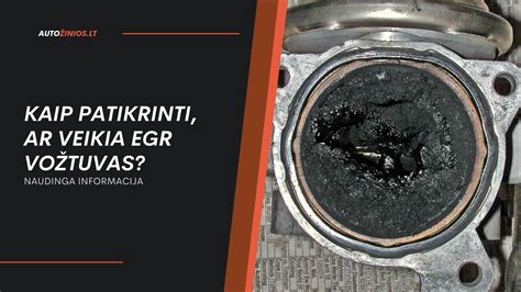 vizualizacija, kaip veikia EGR vožtuvas ir kokios jo dalys gali sugesti