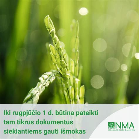 Lentelė, iliustruojanti tiesiogines išmokas augalininkystės sektoriuje