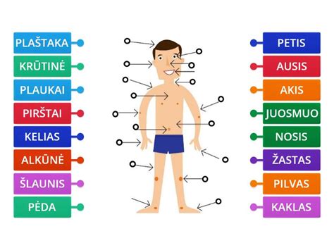 Infografika, iliustruojanti kintamo ir nuolatinio kodų skirtumus ir jų poveikį saugumui.