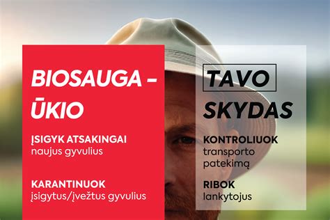 Nuotrauka, iliustruojanti skirtingus vairo tipus