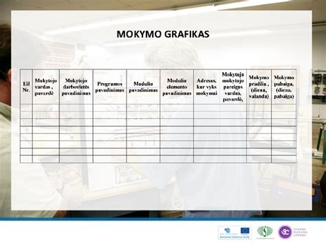 Mokymo programos grafikas
