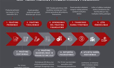 Infografika: Žibintų atnaujinimo procesas