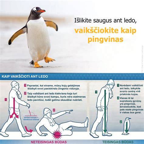 schema: dygliuotų padangų funkcionavimas ant ledo ir sniego