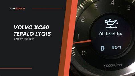 Infografika: kaip patikrinti galinės lempos pakaitą Volvo V70